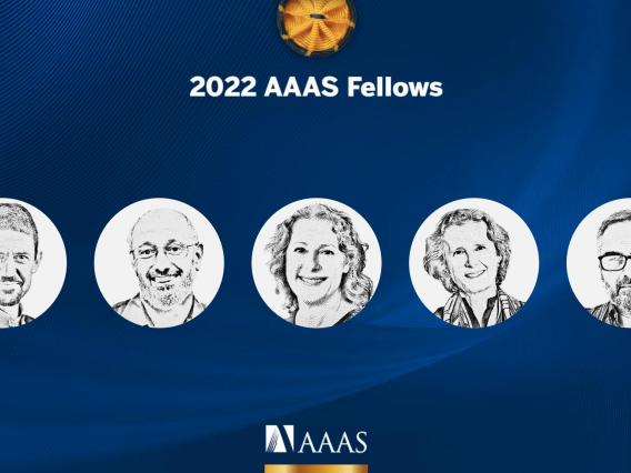 Portrait collage of the five UArizona researchers selected as 2022 AAAS Fellows