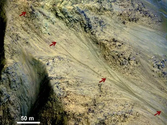 This image includes an especially long example of a type of dark marking that advances down some Martian slopes in warmer months and fades away in cooler months.(Image: NASA/JPL-Caltech/UA)