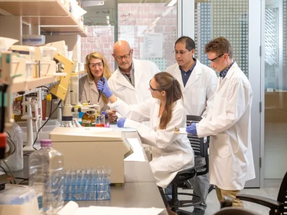 researchers working in a lab
